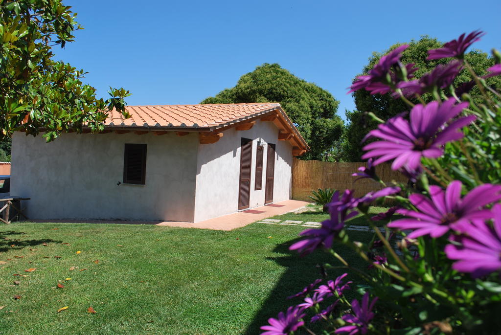Agriturismo La Valle Di Ceri Cerveteri Luaran gambar