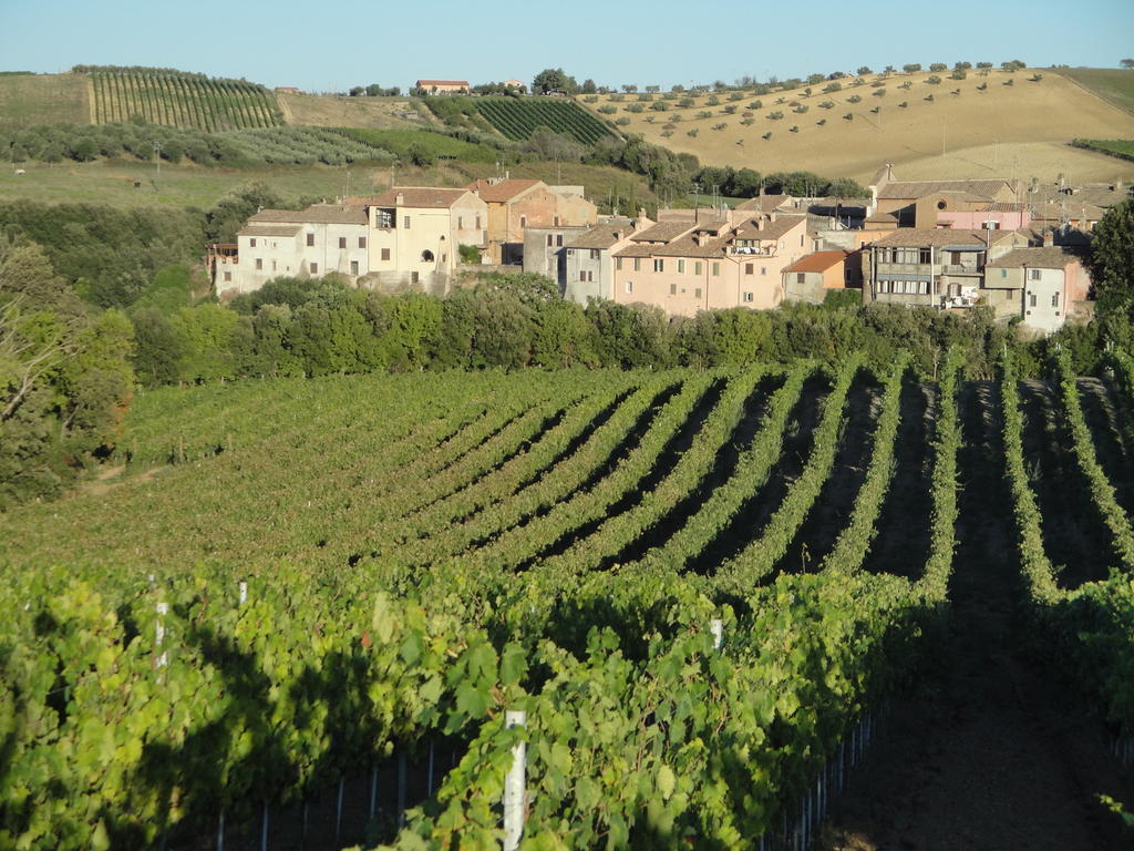 Agriturismo La Valle Di Ceri Cerveteri Luaran gambar